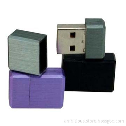 Case-shaped USB Drives